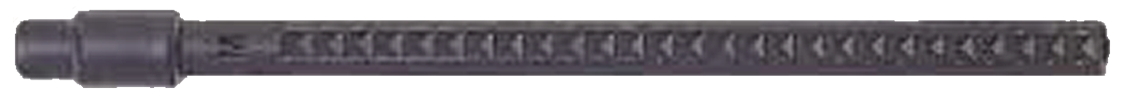 153-29138 Shaviv Klingenhalter M